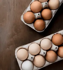 eggs